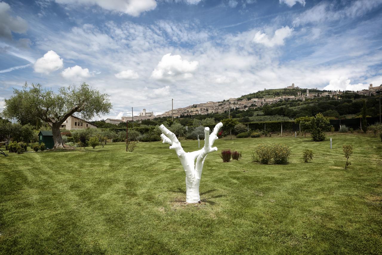 Tenuta San Masseo - Boutique Farm & Assisi