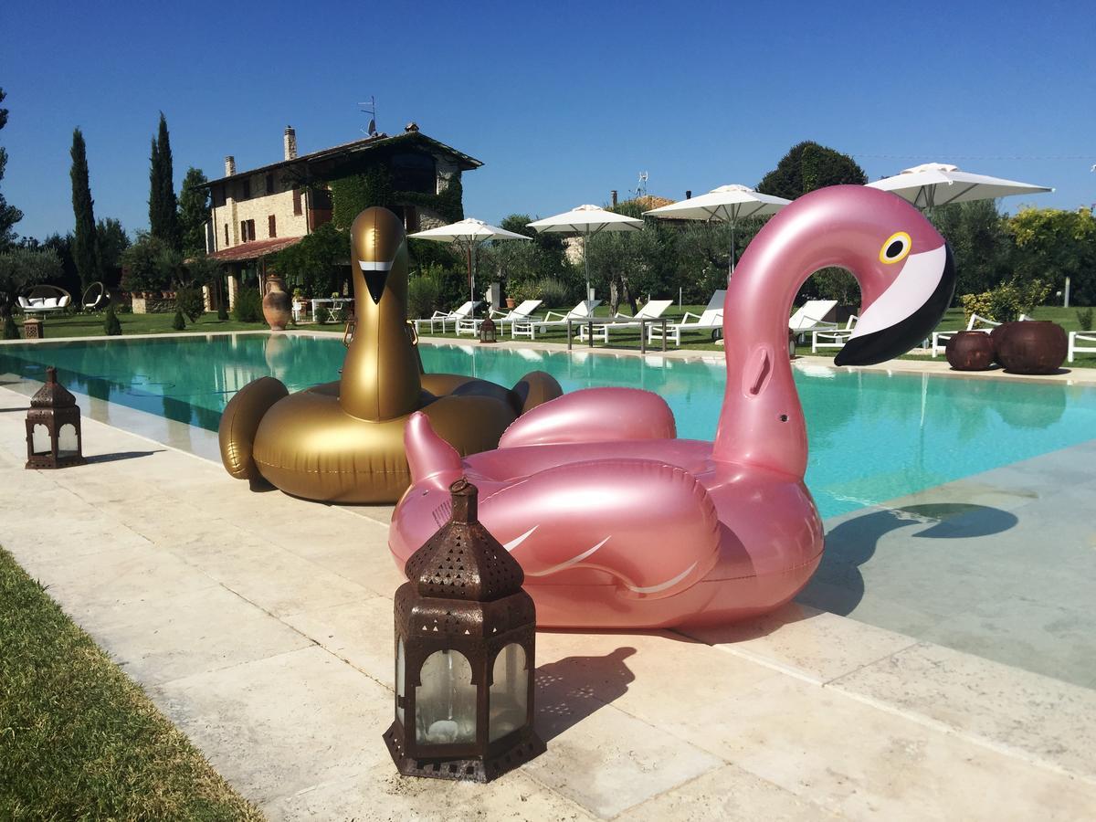 Tenuta San Masseo - Boutique Farm &