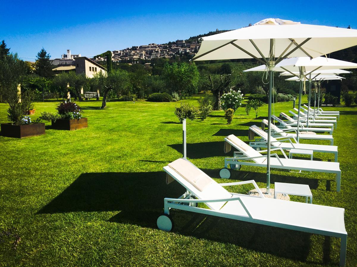 Tenuta San Masseo - Boutique Farm & Assisi